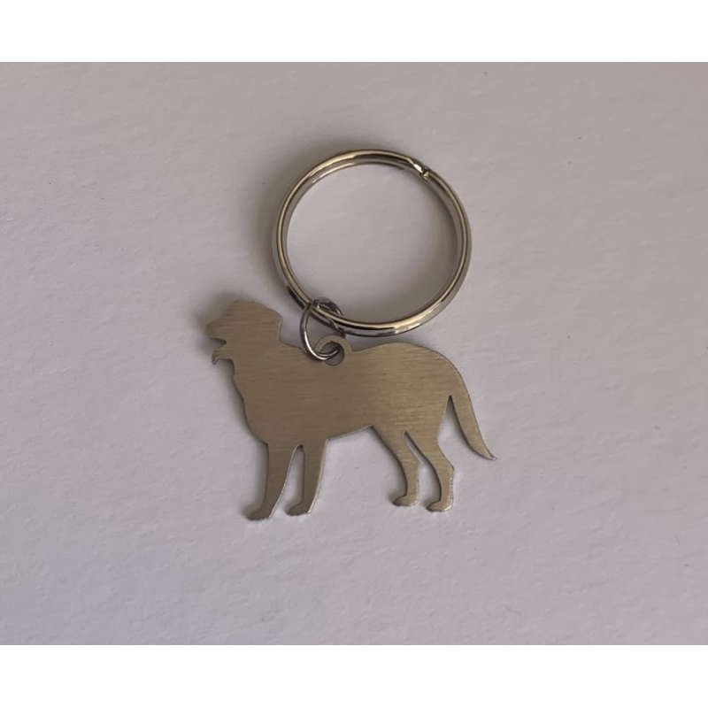 Chapa de Identificação de Cão