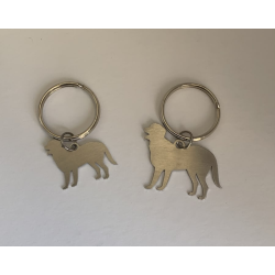 Chapa de Identificação de Cão
