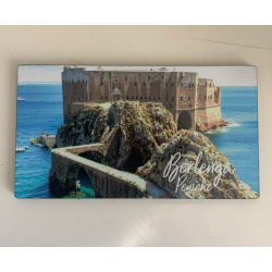 Íman da Fortaleza (Berlenga)