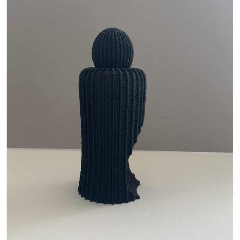 Noivos 3d