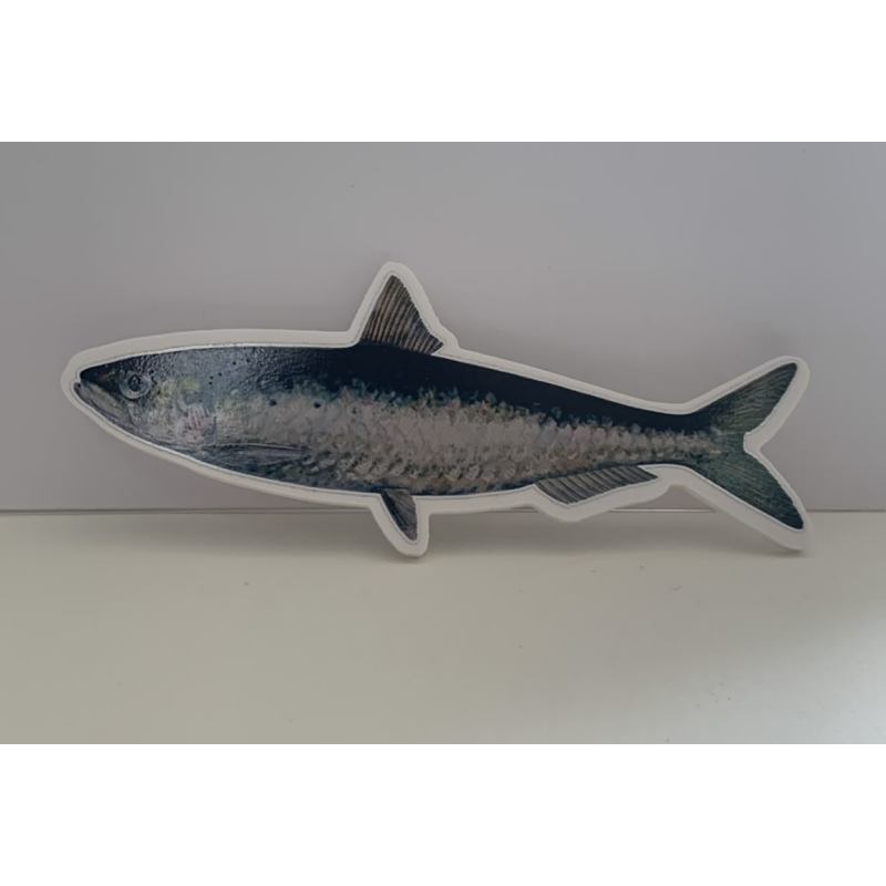 Sardinha