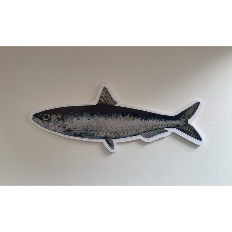 Sardinha