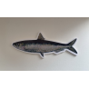 Sardinha